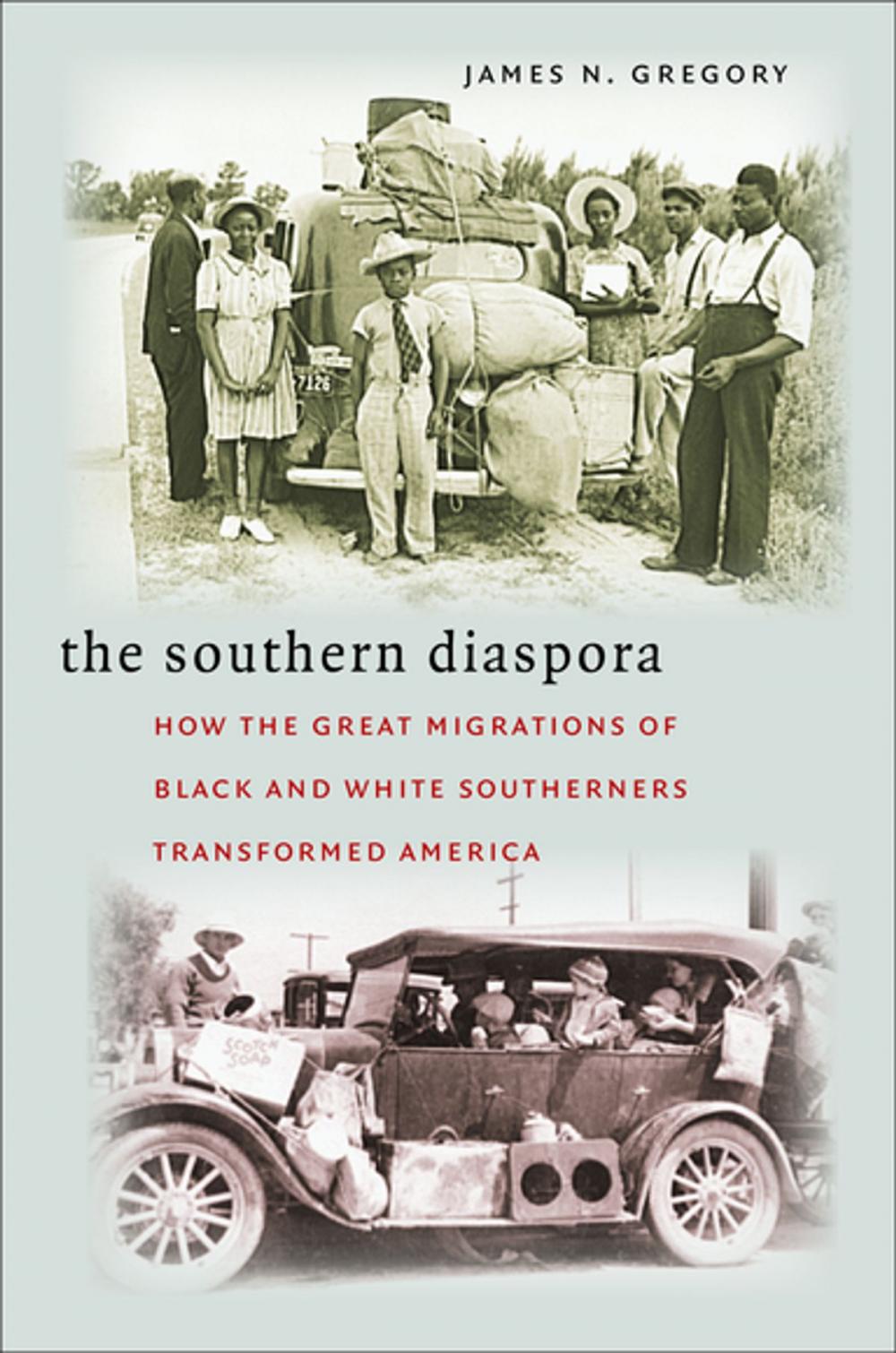 Big bigCover of The Southern Diaspora