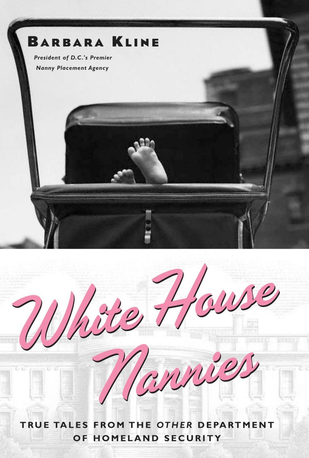 Big bigCover of White House Nannies