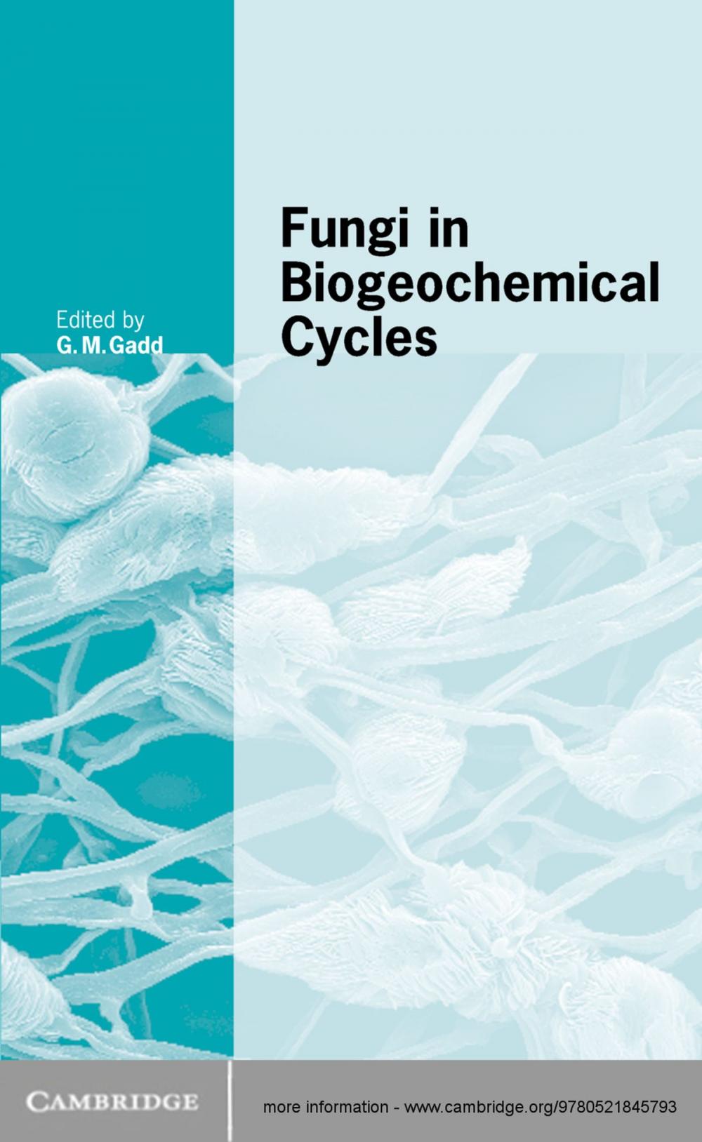 Big bigCover of Fungi in Biogeochemical Cycles