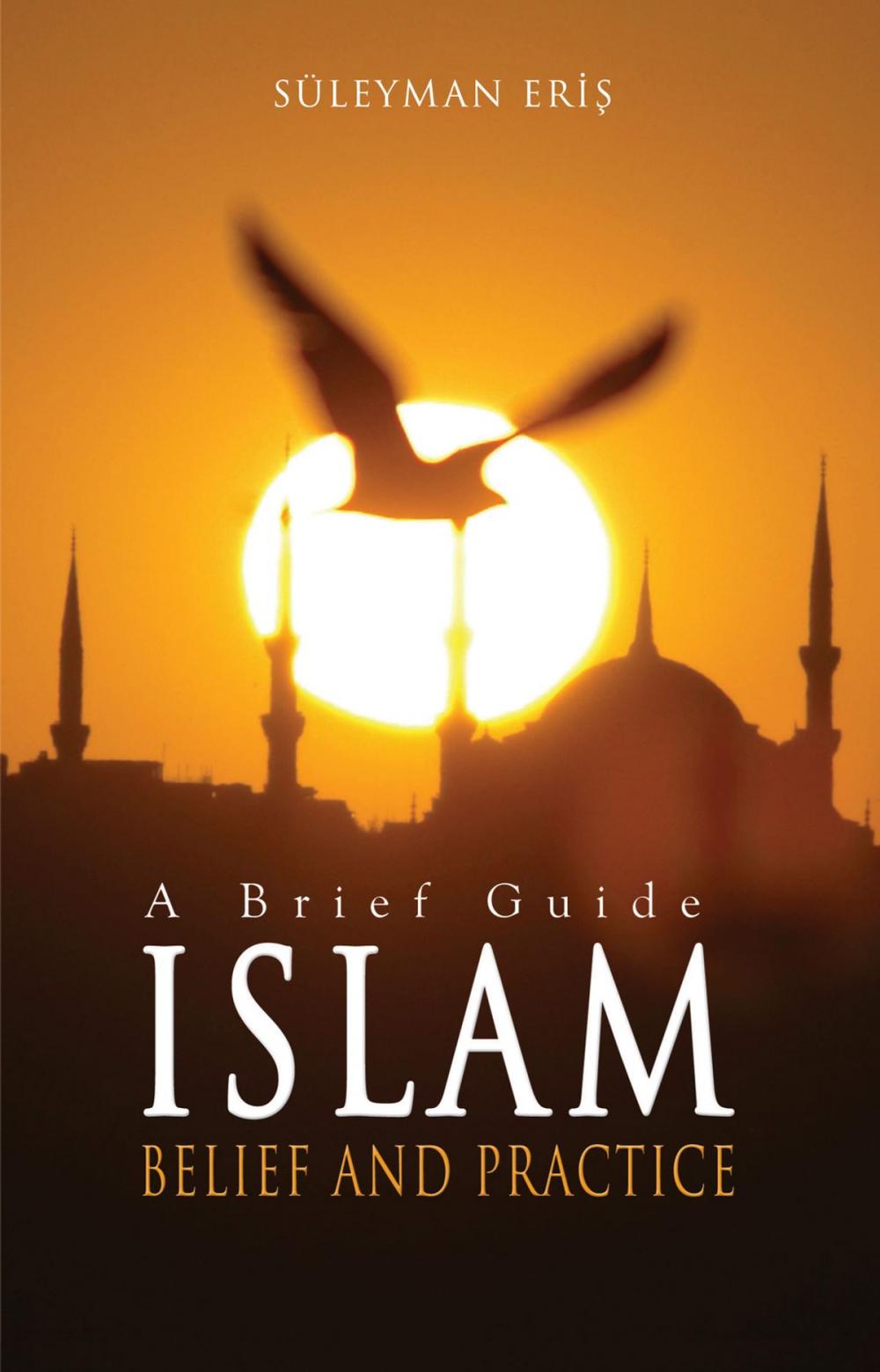 Big bigCover of Islam: Belief And Practice