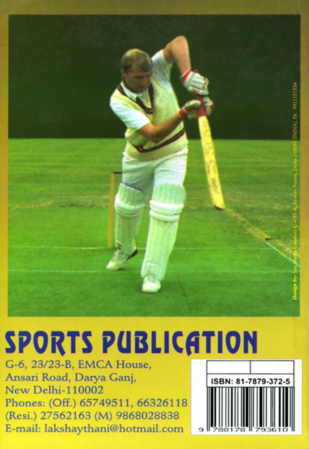 Big bigCover of How to Play Batting