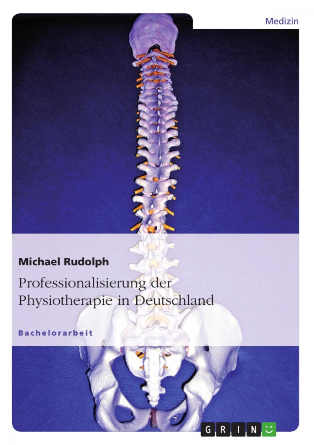 Big bigCover of Professionalisierung der Physiotherapie in Deutschland