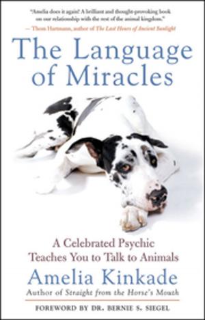 Cover of the book The Language of Miracles by Alison Bonds Shapiro