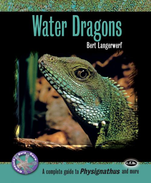 Cover of the book Water Dragons by Langerwerf, Bert, TFH Publications, Inc.