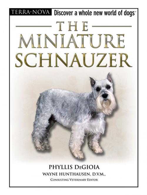 Cover of the book The Miniature Schnauzer by Phyllis DeGioia, TFH Publications, Inc.