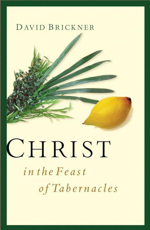 Cover of the book Christ in the Feast of Tabernacles by David Brickner, Moody Publishers