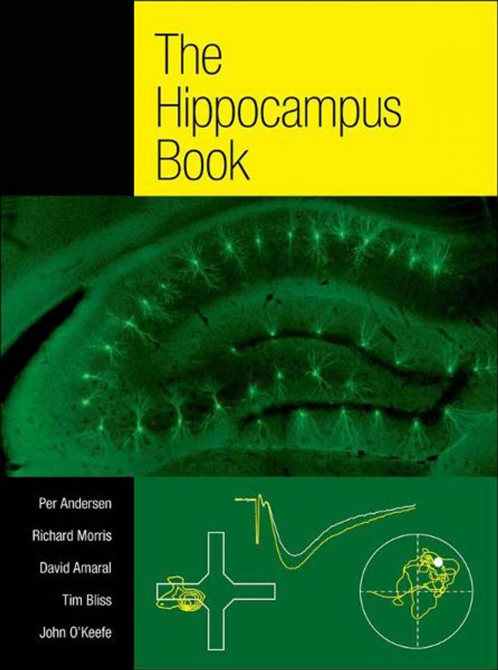 Big bigCover of The Hippocampus Book