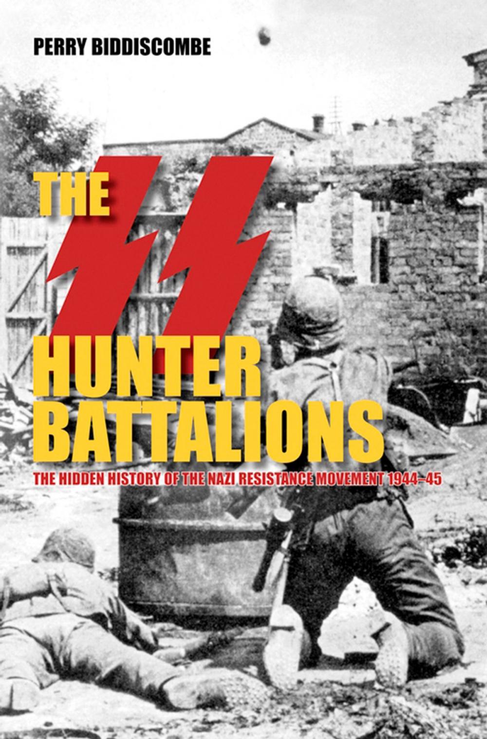 Big bigCover of SS Hunter Battalions