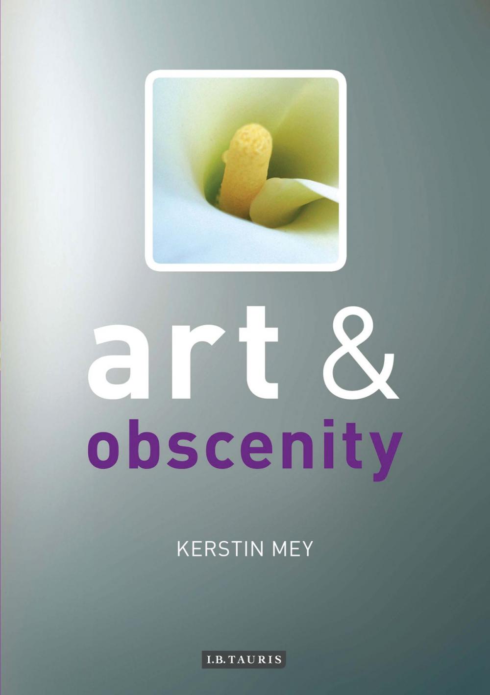 Big bigCover of Art and Obscenity