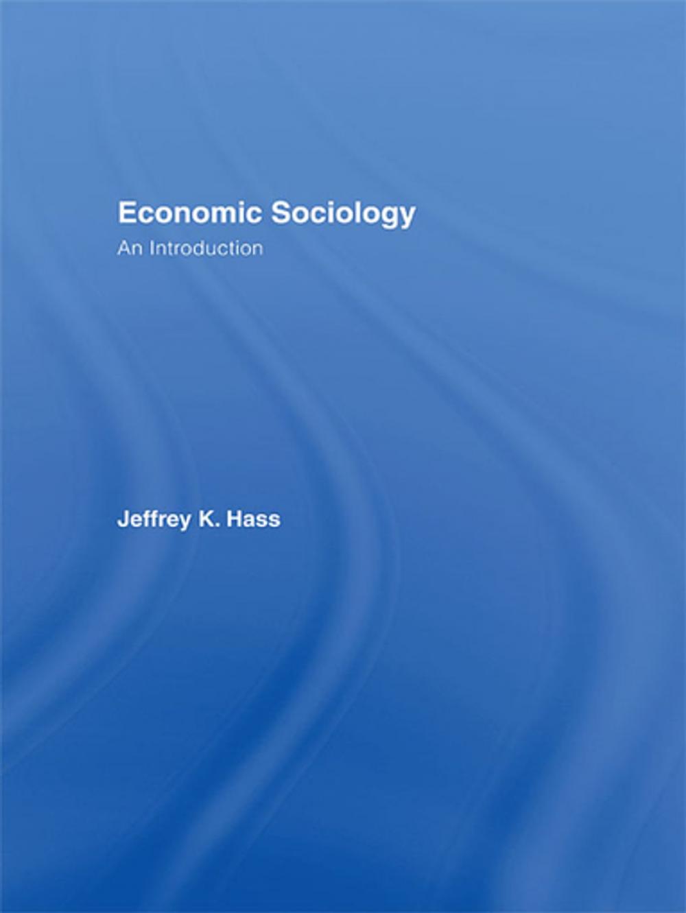 Big bigCover of Economic Sociology