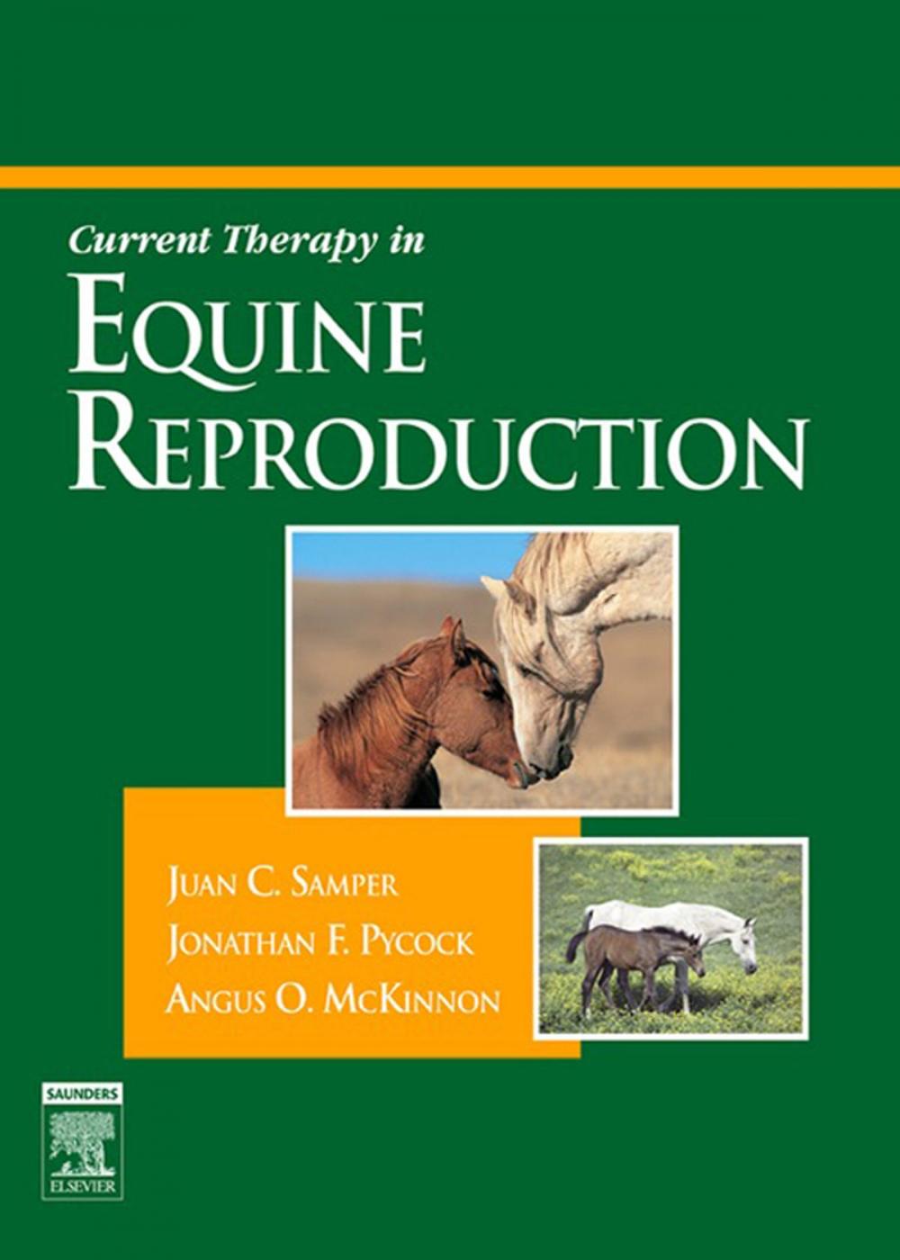 Big bigCover of Current Therapy in Equine Reproduction E-Book