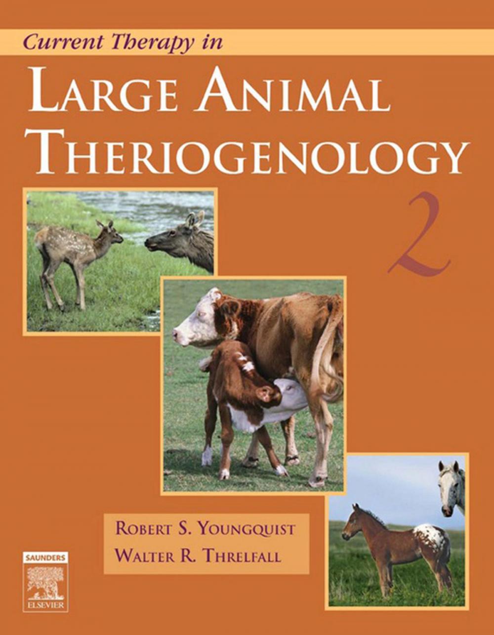 Big bigCover of Current Therapy in Large Animal Theriogenology - E-Book