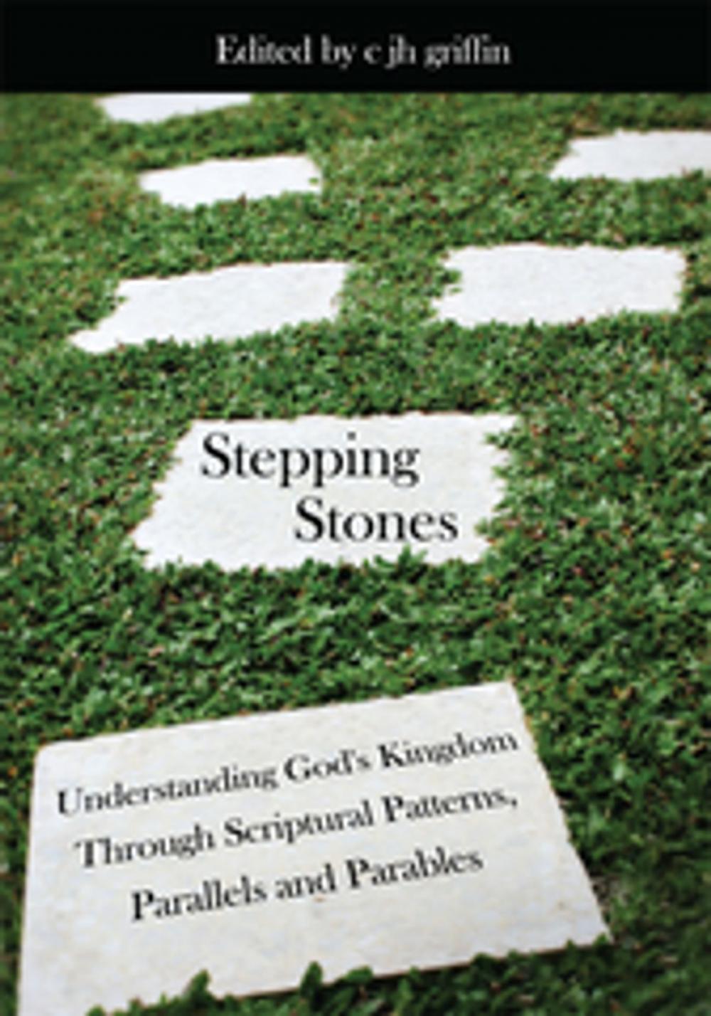 Big bigCover of Stepping Stones