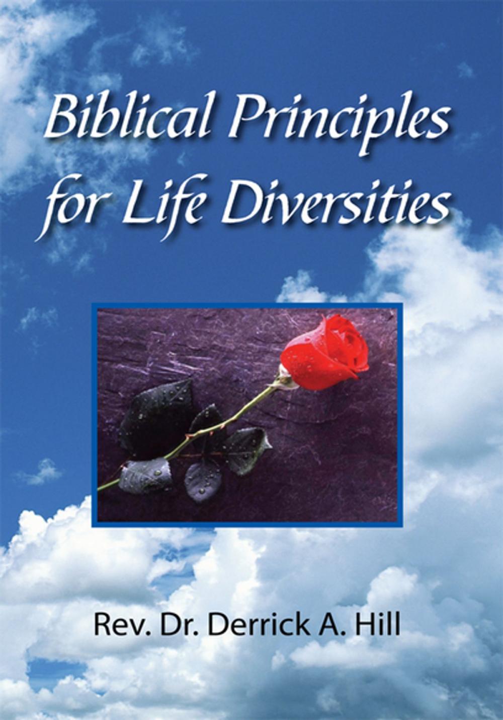 Big bigCover of Biblical Principles for Life Diversities