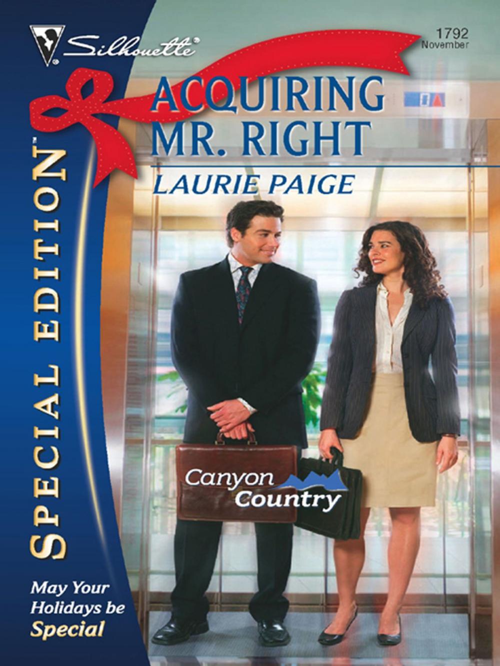 Big bigCover of Acquiring Mr. Right