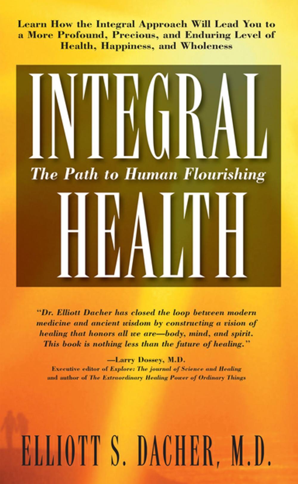 Big bigCover of Integral Health