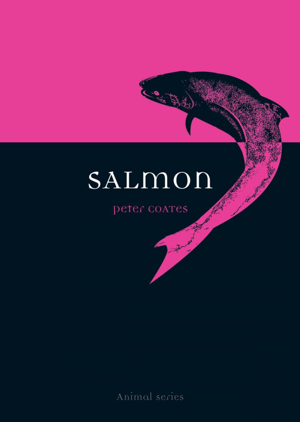 Big bigCover of Salmon