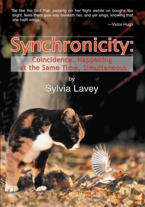 Cover of the book Synchronicity by Sylvia Lavey, iUniverse