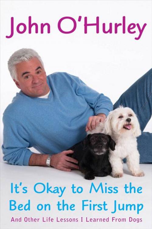 Cover of the book It's Okay to Miss the Bed on the First Jump by John O'Hurley, Penguin Publishing Group