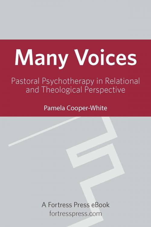 Cover of the book Many Voices by Pamela Cooper-White, Fortress Press