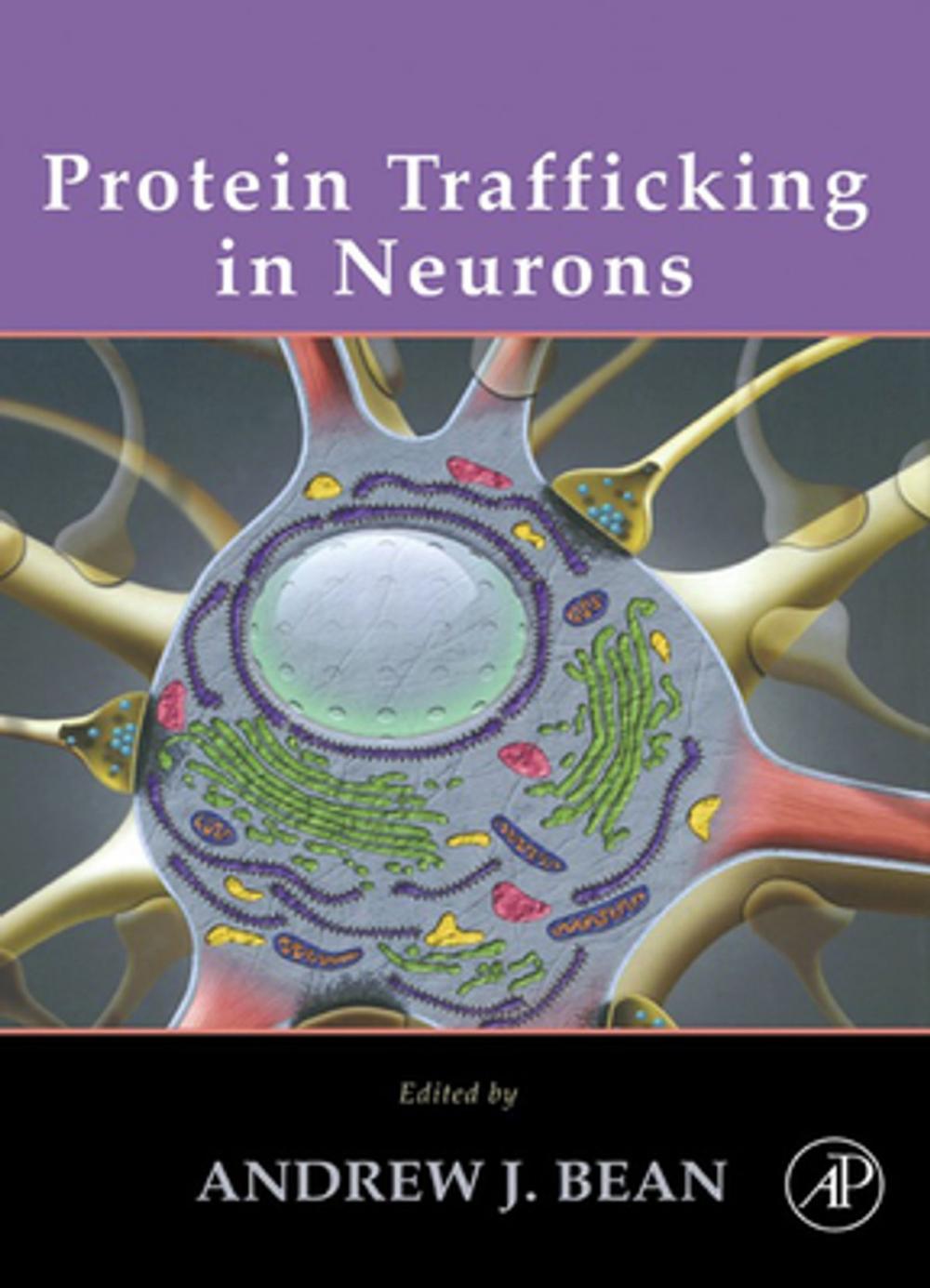 Big bigCover of Protein Trafficking in Neurons