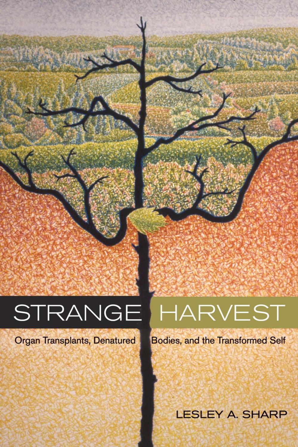 Big bigCover of Strange Harvest