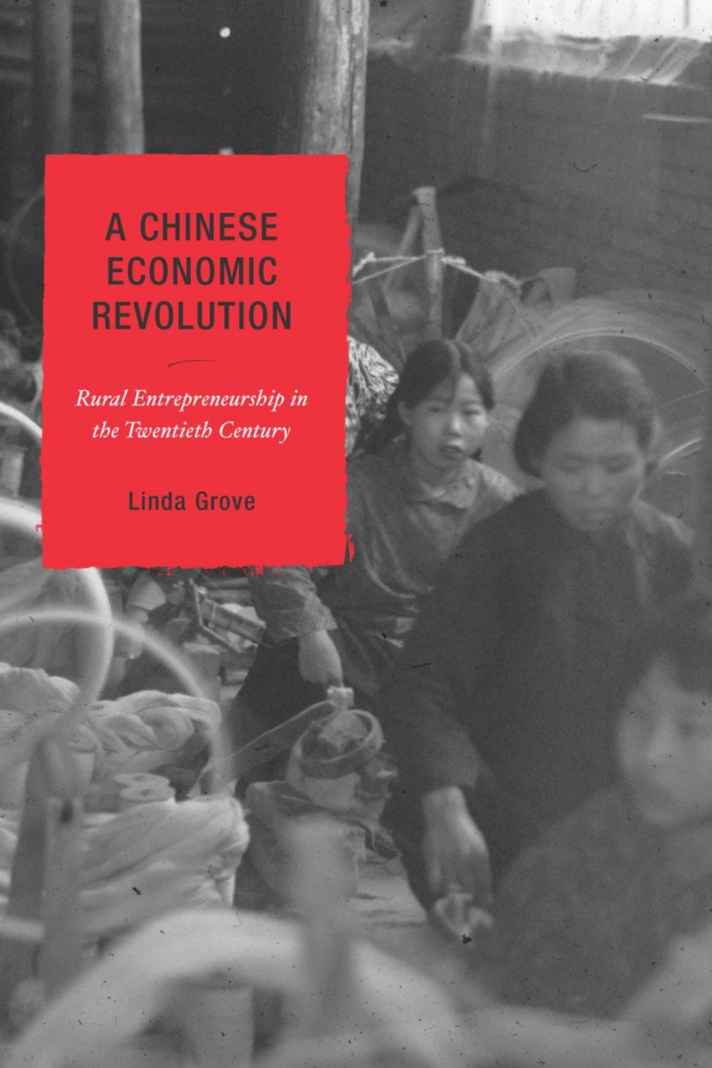 Big bigCover of A Chinese Economic Revolution