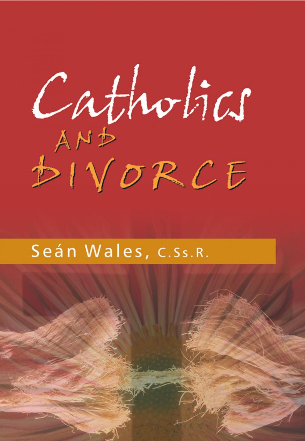 Big bigCover of Catholics and Divorce