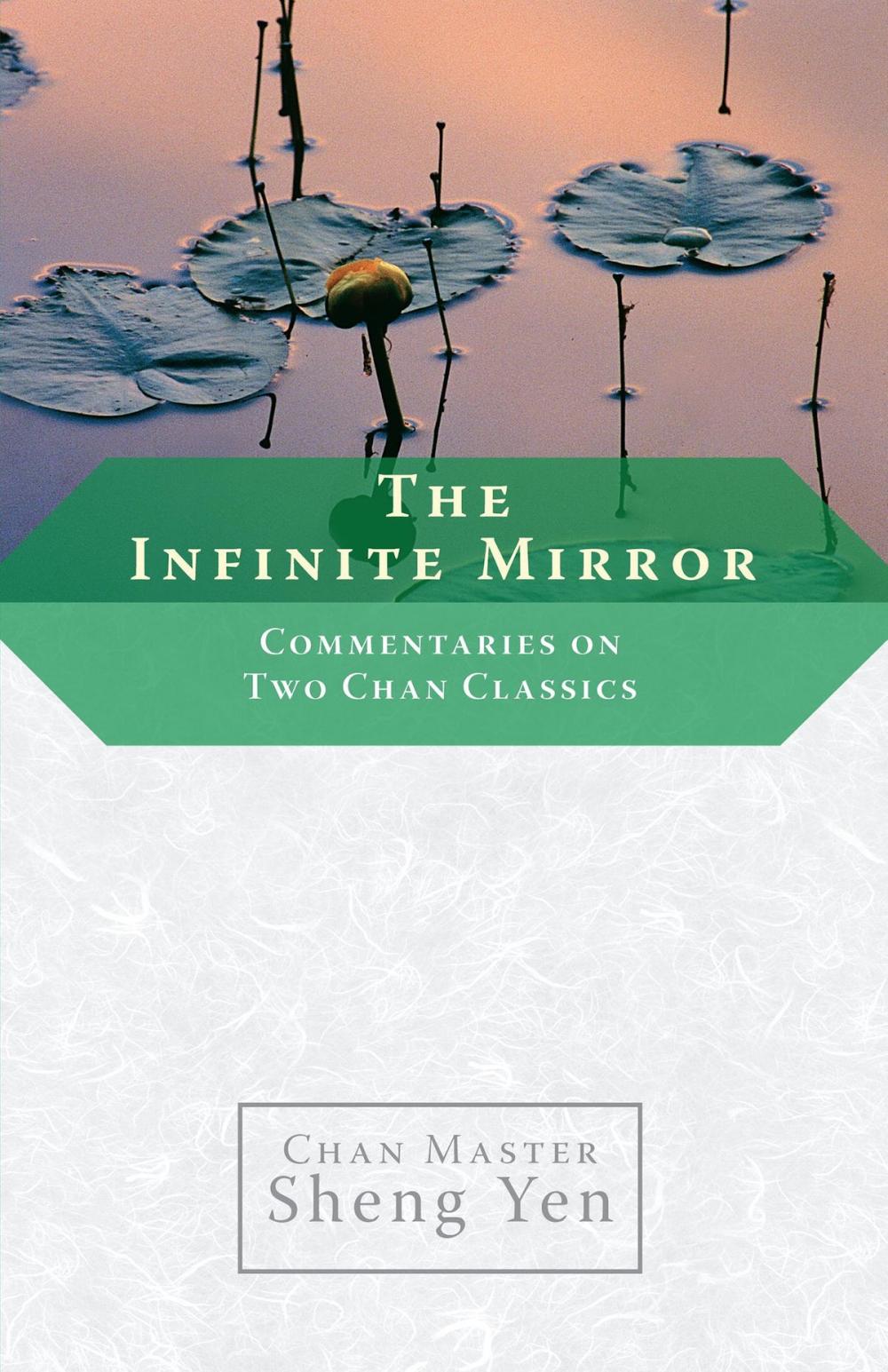 Big bigCover of The Infinite Mirror