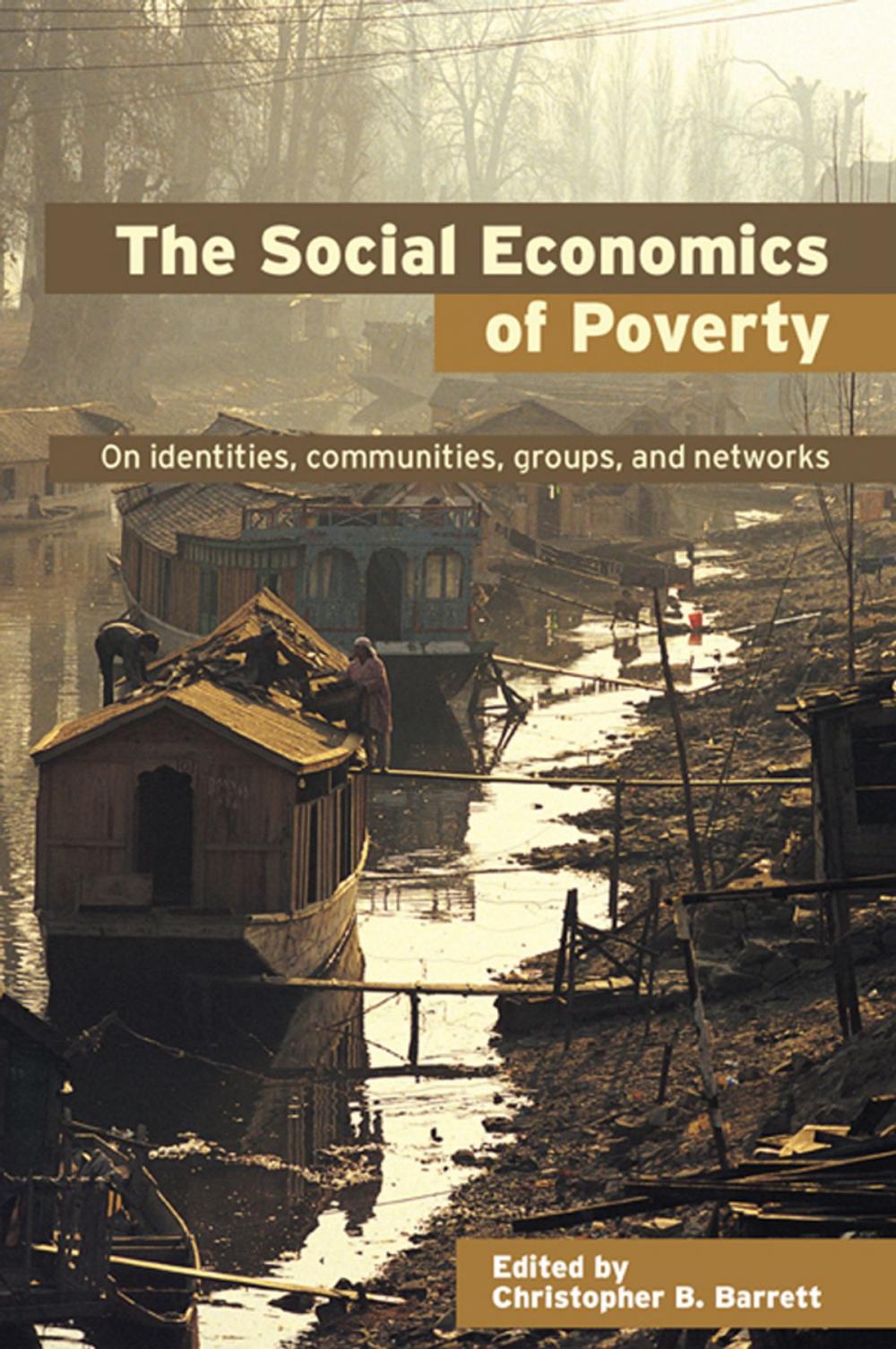 Big bigCover of The Social Economics of Poverty