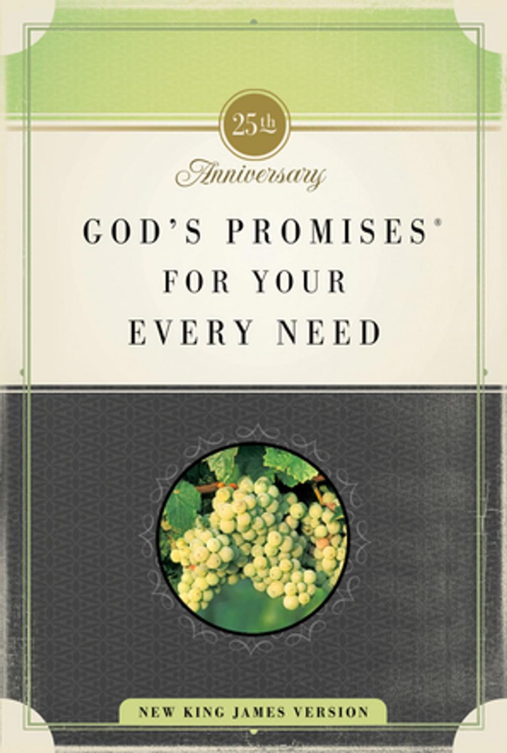 Big bigCover of God's Promises for Your Every Need