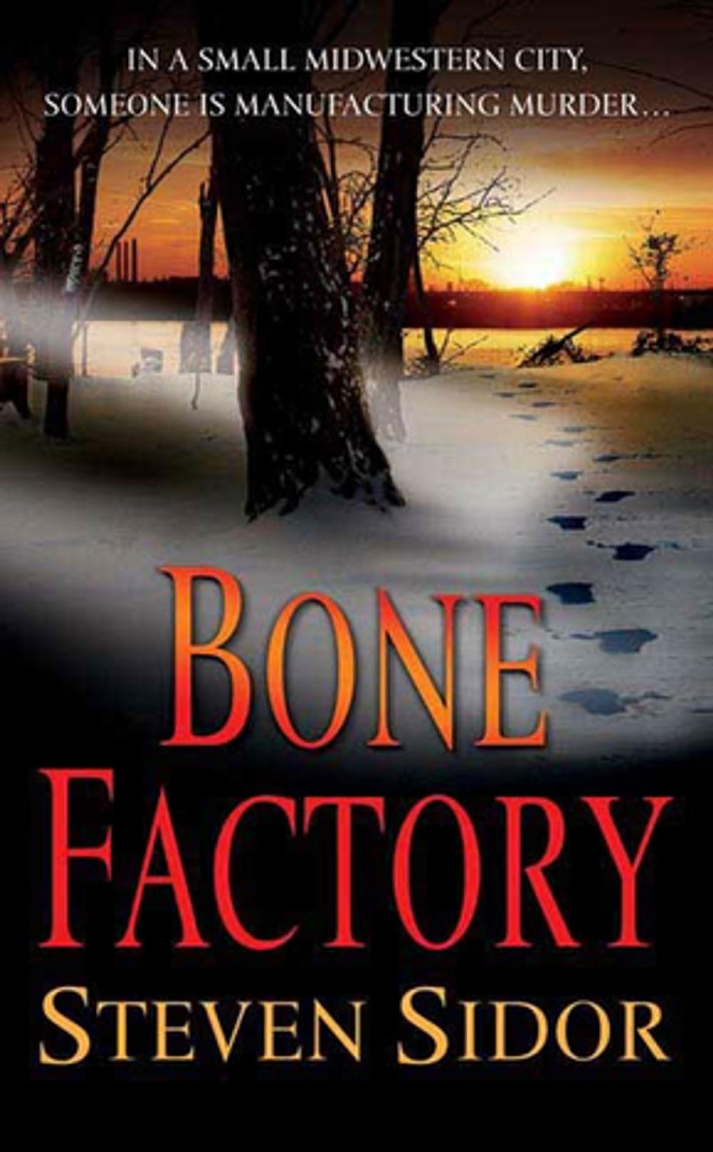 Big bigCover of Bone Factory