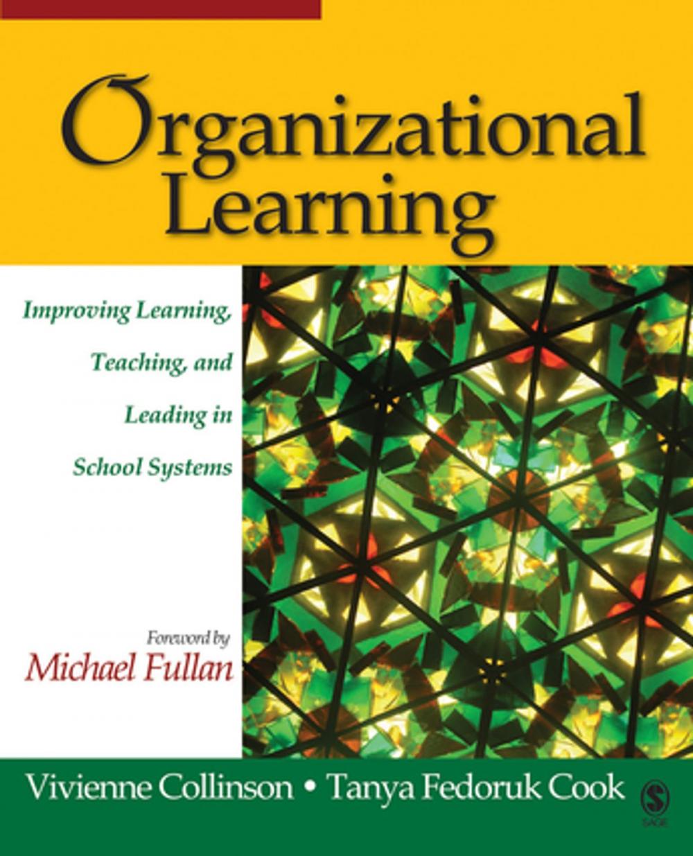 Big bigCover of Organizational Learning