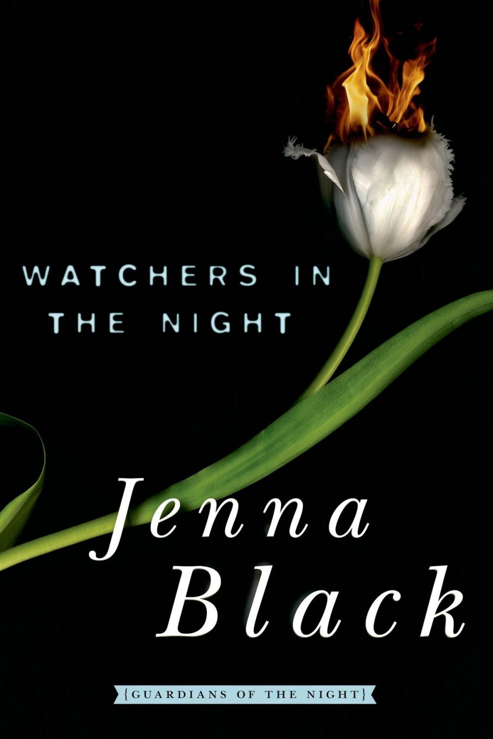 Big bigCover of Watchers in the Night