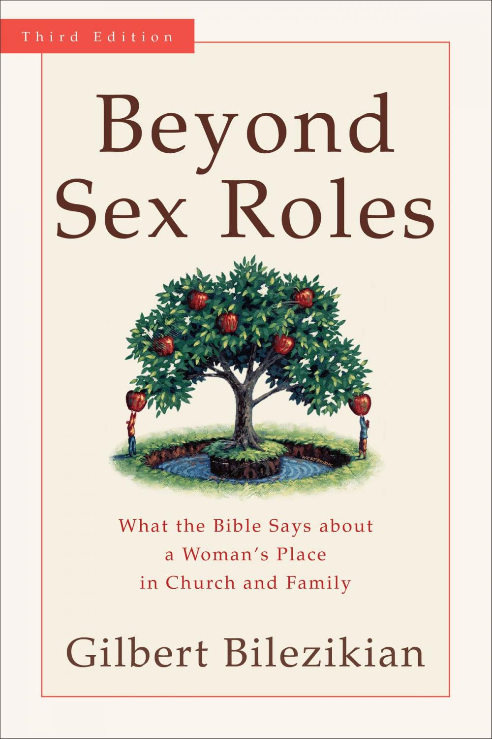 Big bigCover of Beyond Sex Roles