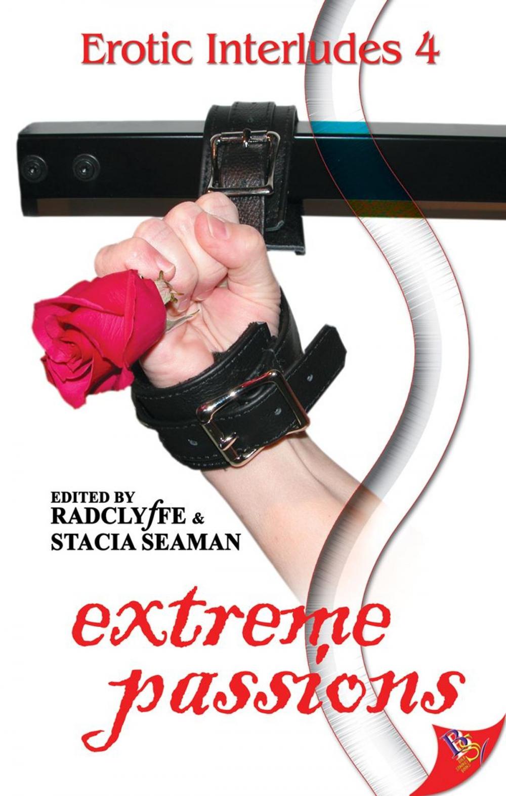 Big bigCover of Erotic Interludes 4: Extreme Passions