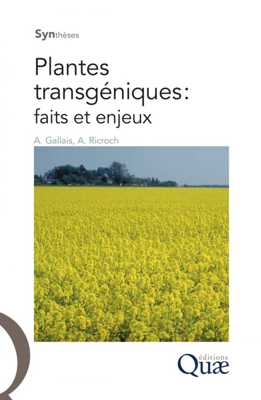 Big bigCover of Plantes transgéniques : faits et enjeux