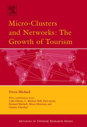 Cover of the book Micro-Clusters and Networks by Brian Moeran