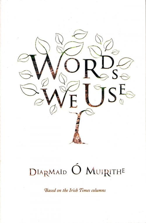 Cover of the book Words We Use by Diarmaid Ó Muirithe, Gill Books