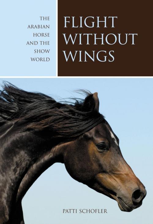 Cover of the book Flight without Wings by Patti Schofler, Lyons Press