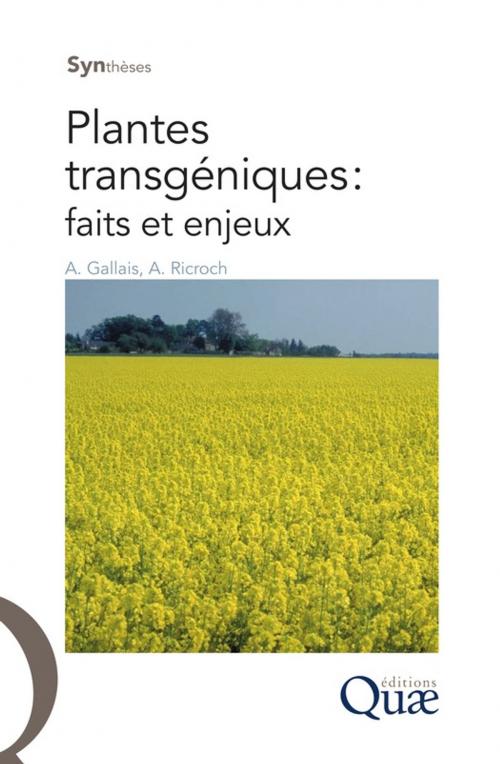 Cover of the book Plantes transgéniques : faits et enjeux by André Gallais, Agnès Ricroch, Quae