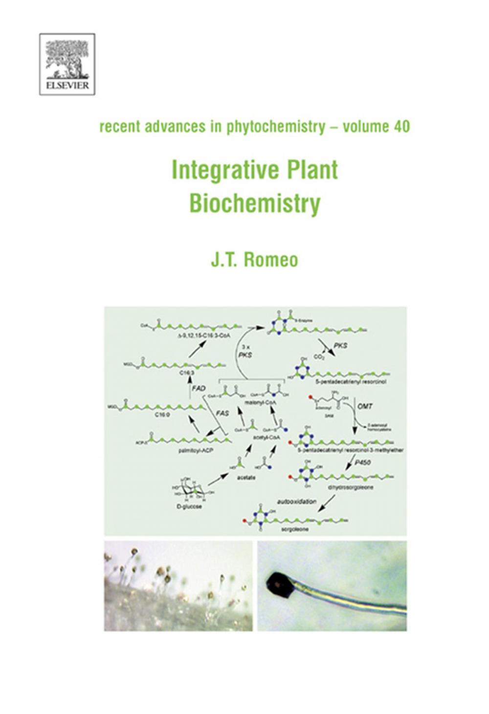 Big bigCover of Integrative Plant Biochemistry