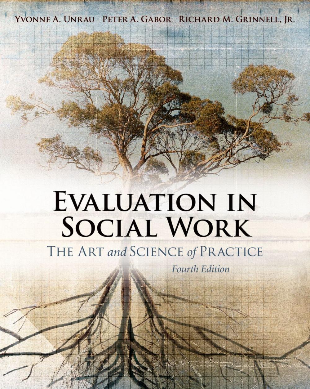 Big bigCover of Evaluation in Social Work