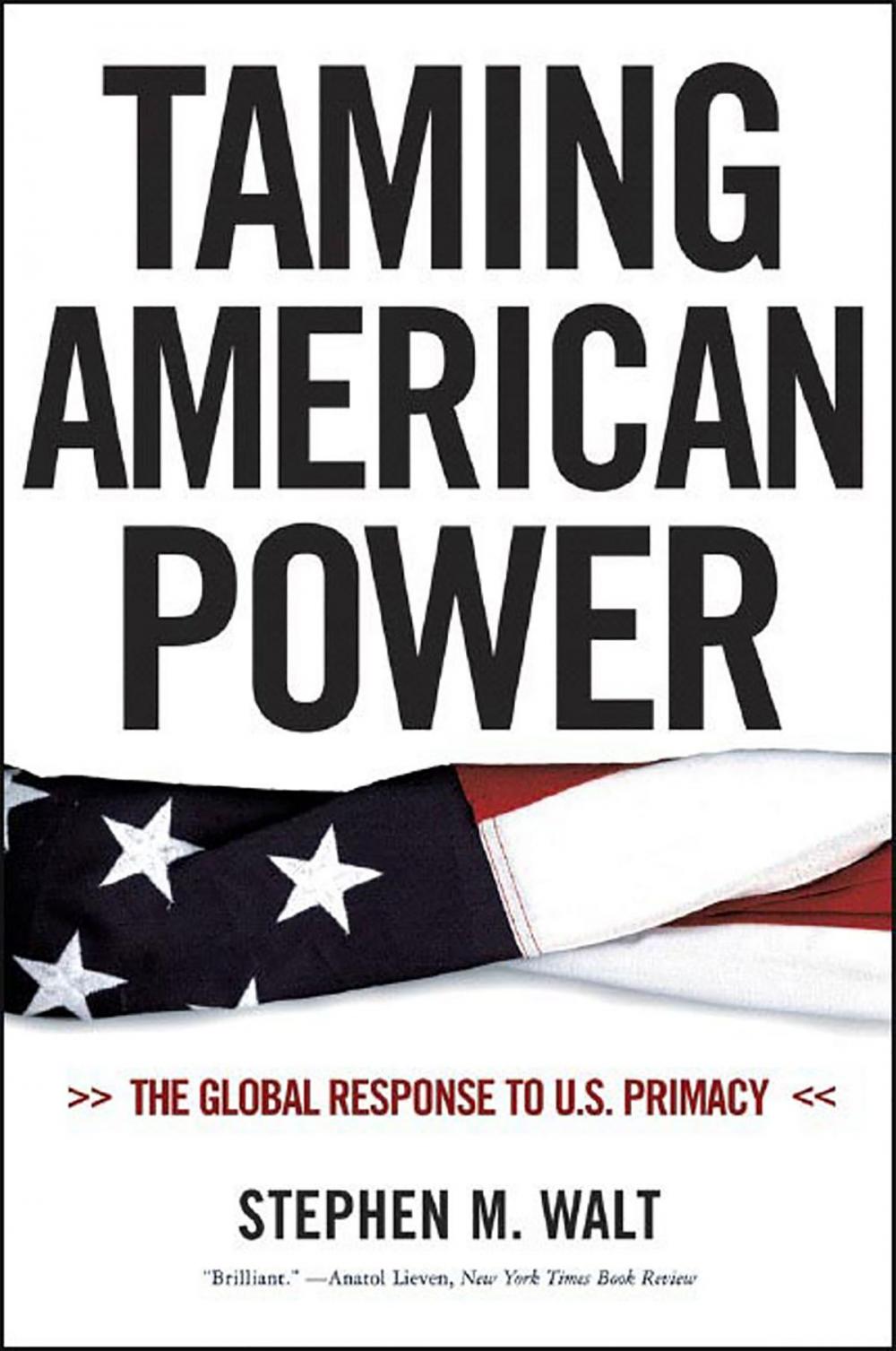 Big bigCover of Taming American Power: The Global Response to U. S. Primacy