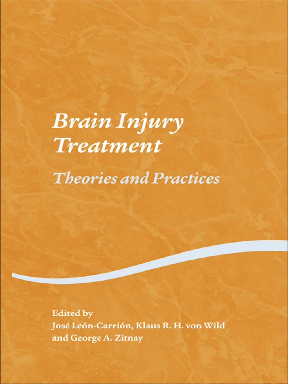 Big bigCover of Brain Injury Treatment