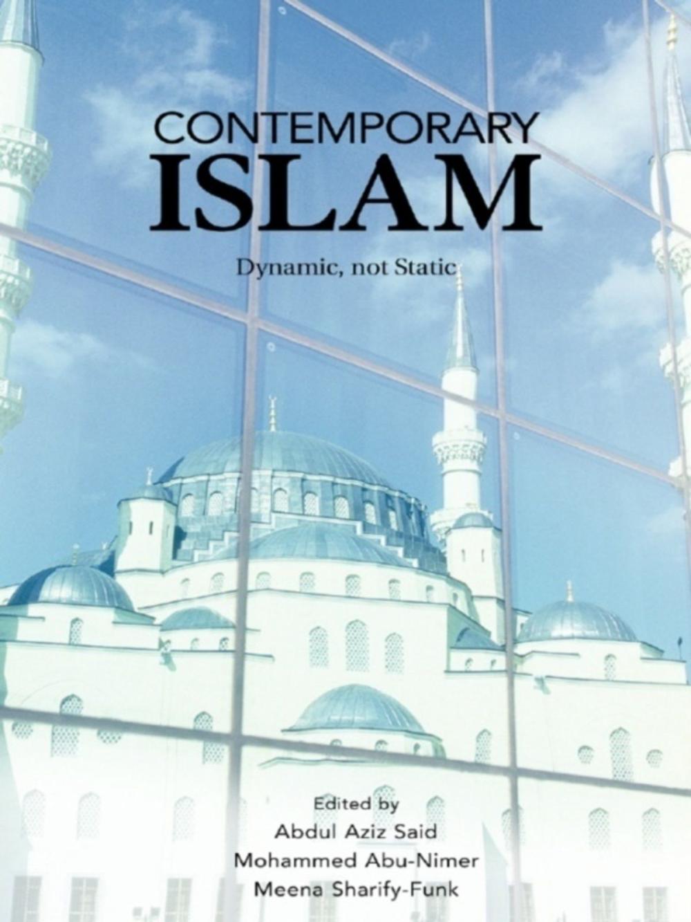 Big bigCover of Contemporary Islam