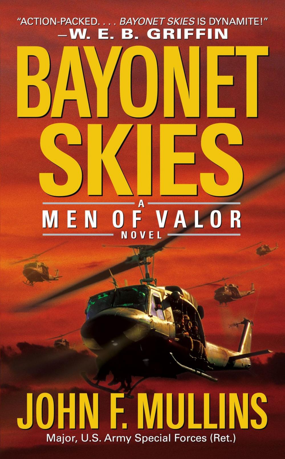 Big bigCover of Bayonet Skies