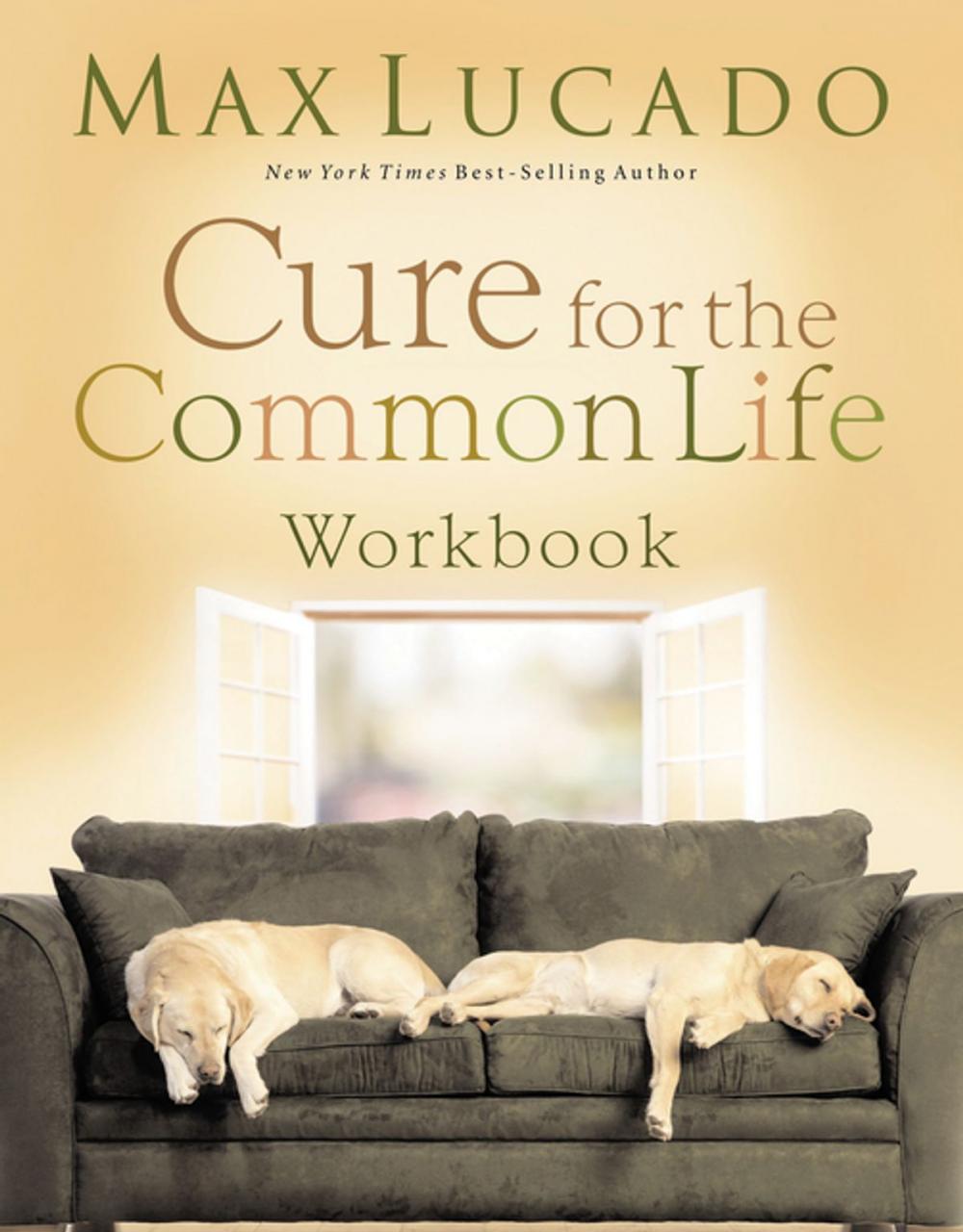 Big bigCover of Cure for the Common Life Workbook