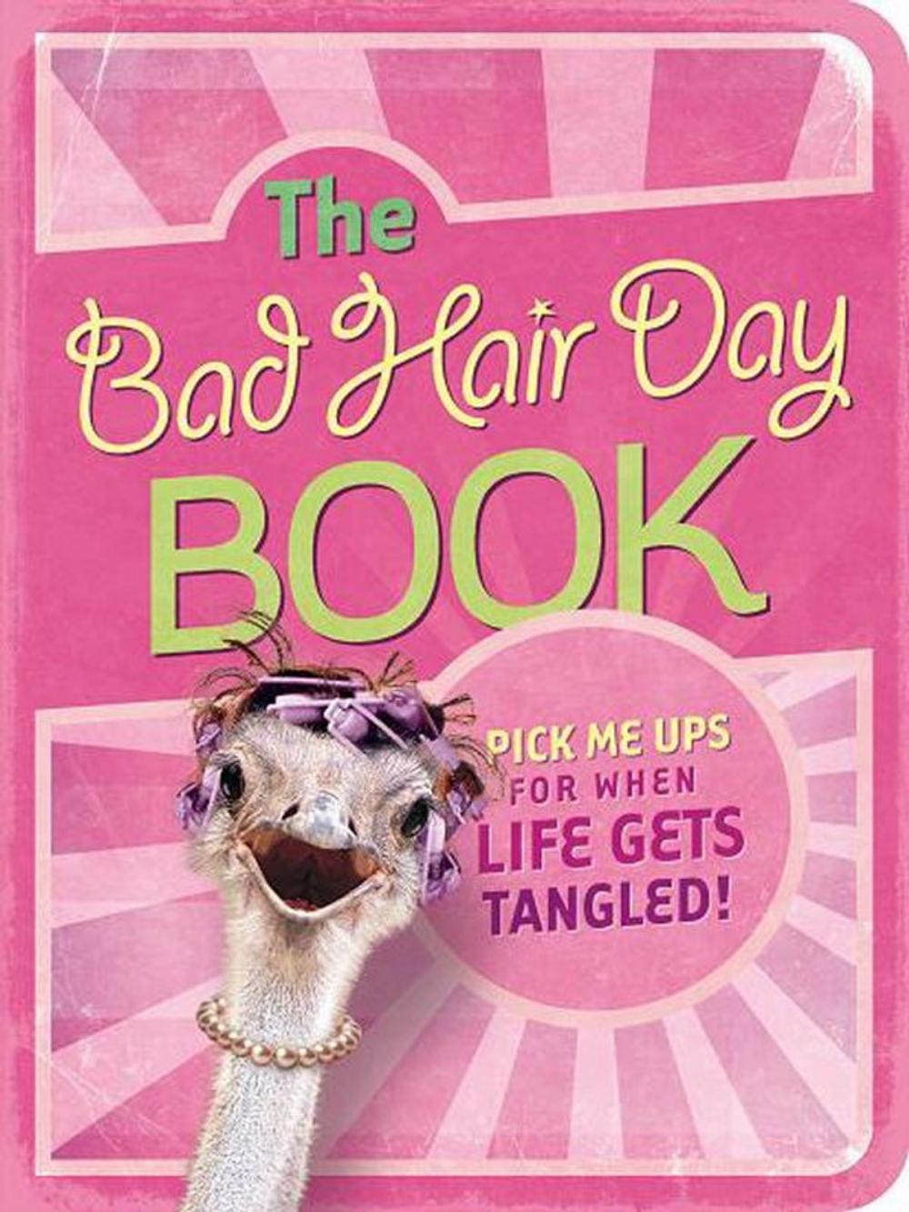 Big bigCover of The Bad Hair Day Book