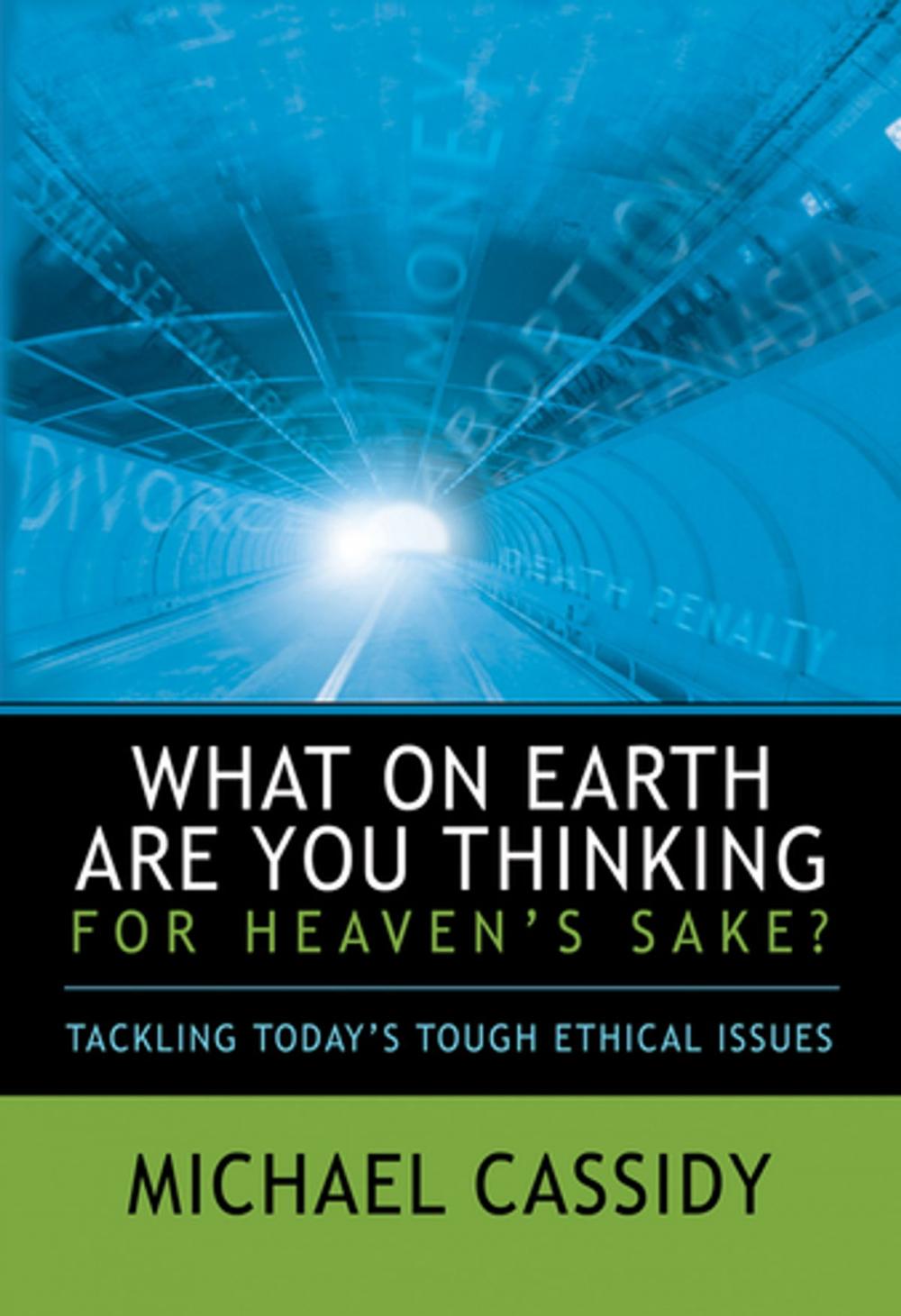 Big bigCover of What on Earth Are You Thinking for Heaven's Sake? (eBook)